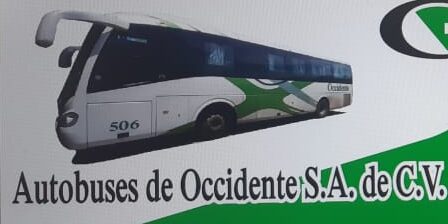 Autobuses de Occidente Morelia
